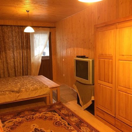 Guest House In Carpathians Migovo Ngoại thất bức ảnh