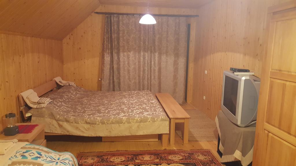 Guest House In Carpathians Migovo Ngoại thất bức ảnh