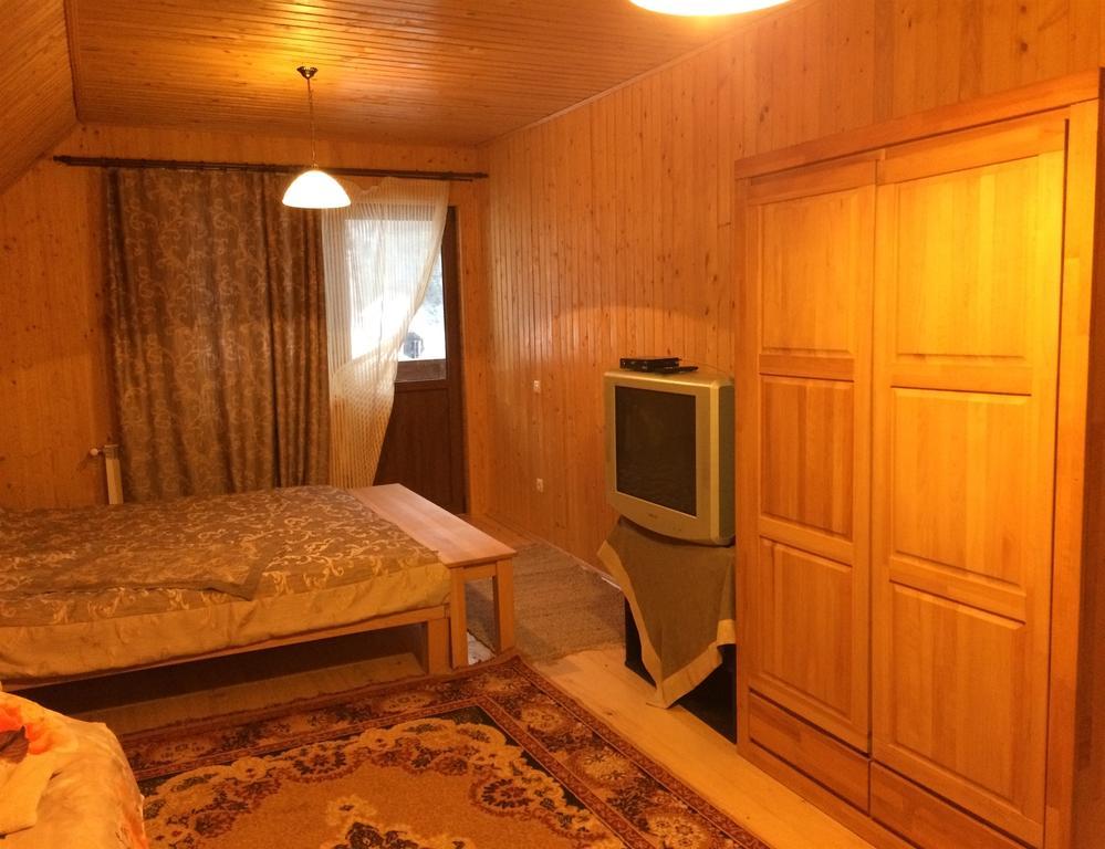 Guest House In Carpathians Migovo Ngoại thất bức ảnh